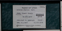 Image Associated With the Occurence